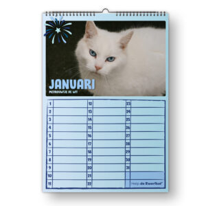 Kattenkalender – steun de zwerfkatten 🐾
